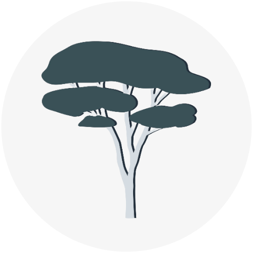 Acacia Collaborative Psychological Services logo